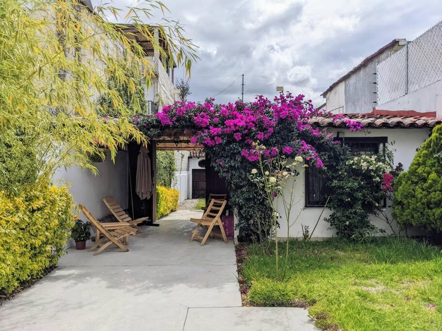 Hotel Casa Mua San Cristóbal de Las Casas Zewnętrze zdjęcie