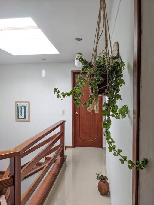 Hotel Casa Mua San Cristóbal de Las Casas Zewnętrze zdjęcie